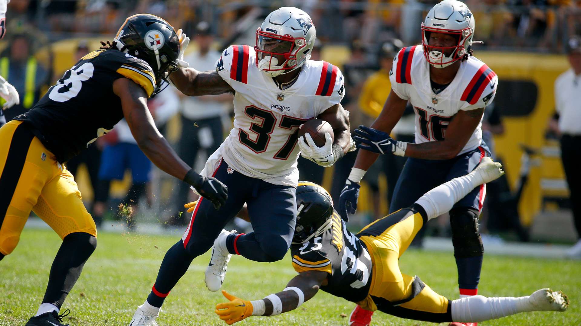 方面进行阐 方面进行阐